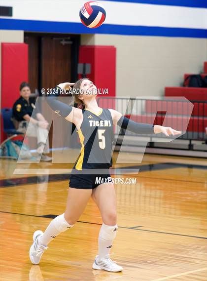 Thumbnail 2 in Royal vs Sealy photogallery.