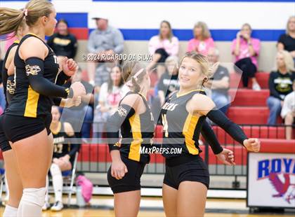 Thumbnail 1 in Royal vs Sealy photogallery.