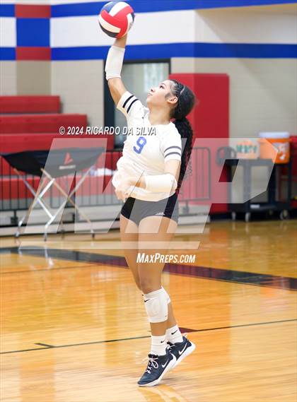 Thumbnail 1 in Royal vs Sealy photogallery.