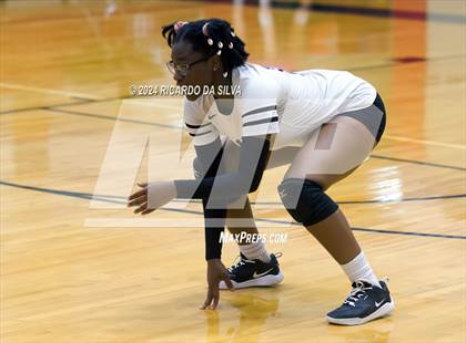 Thumbnail 3 in Royal vs Sealy photogallery.