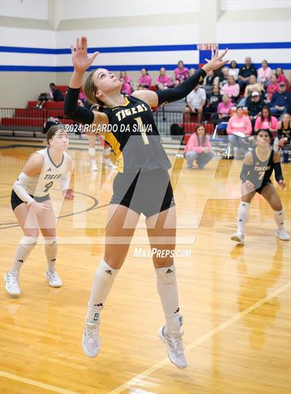 Thumbnail 3 in Royal vs Sealy photogallery.