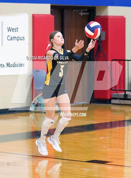 Thumbnail 3 in Royal vs Sealy photogallery.