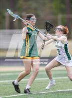 Photo from the gallery "Pine Forest @ Pinecrest"