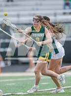Photo from the gallery "Pine Forest @ Pinecrest"