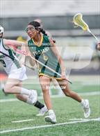 Photo from the gallery "Pine Forest @ Pinecrest"