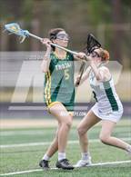 Photo from the gallery "Pine Forest @ Pinecrest"