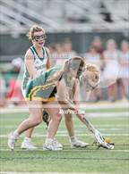 Photo from the gallery "Pine Forest @ Pinecrest"