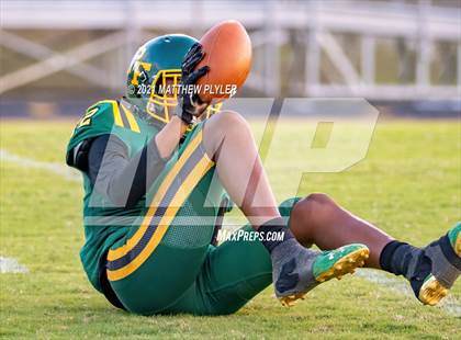 Thumbnail 1 in Terry Sanford @ Pine Forest photogallery.