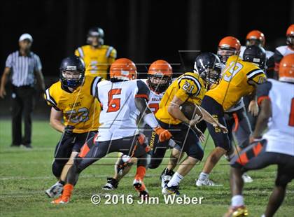 Thumbnail 3 in Land O'Lakes @ Zephyrhills  photogallery.