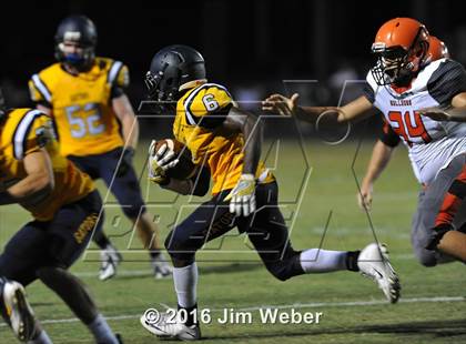 Thumbnail 1 in Land O'Lakes @ Zephyrhills  photogallery.