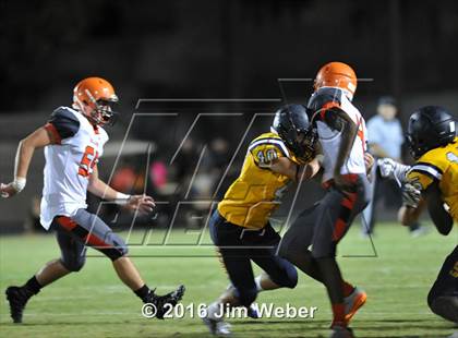 Thumbnail 3 in Land O'Lakes @ Zephyrhills  photogallery.