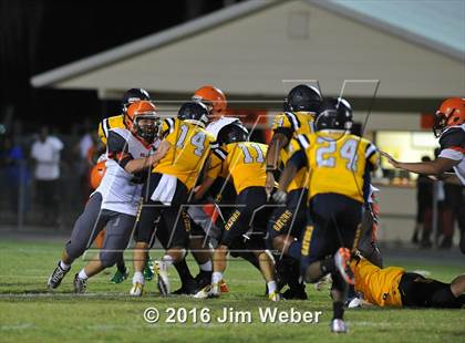 Thumbnail 3 in Land O'Lakes @ Zephyrhills  photogallery.