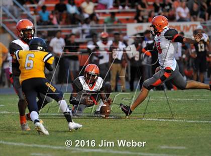 Thumbnail 1 in Land O'Lakes @ Zephyrhills  photogallery.