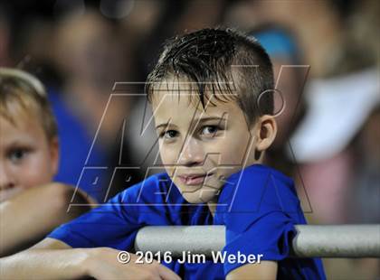 Thumbnail 3 in Land O'Lakes @ Zephyrhills  photogallery.