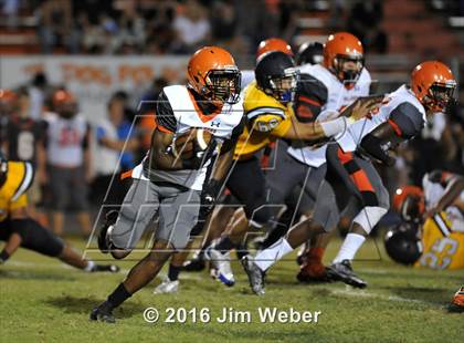 Thumbnail 1 in Land O'Lakes @ Zephyrhills  photogallery.
