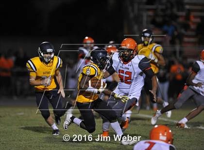 Thumbnail 3 in Land O'Lakes @ Zephyrhills  photogallery.