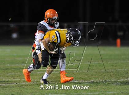 Thumbnail 2 in Land O'Lakes @ Zephyrhills  photogallery.