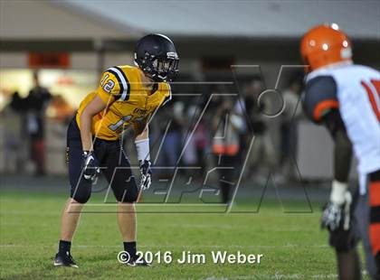 Thumbnail 1 in Land O'Lakes @ Zephyrhills  photogallery.