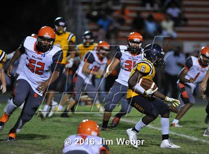 Thumbnail 1 in Land O'Lakes @ Zephyrhills  photogallery.