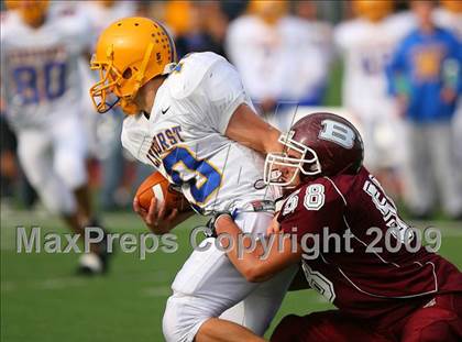 Thumbnail 2 in Lyndhurst @ Becton photogallery.