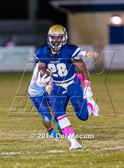 Thumbnail 2 in Newsome @ Durant photogallery.