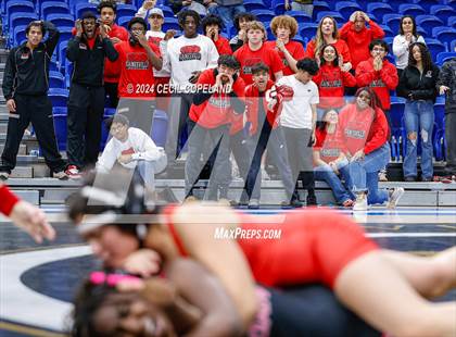 Thumbnail 1 in Gainesville vs Jordan - GHSA Girls' Duals Championship photogallery.