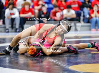 Thumbnail 3 in Gainesville vs Jordan - GHSA Girls' Duals Championship photogallery.
