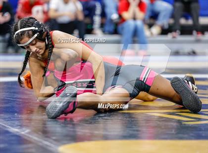 Thumbnail 3 in Gainesville vs Jordan - GHSA Girls' Duals Championship photogallery.