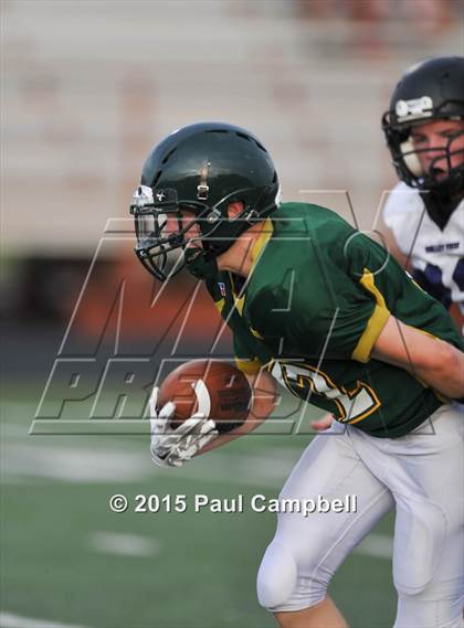 Thumbnail 1 in Valley Vista @ Horizon (Scrimmage) photogallery.