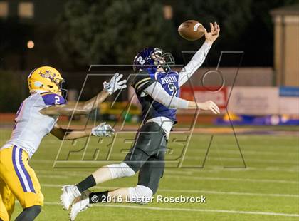Thumbnail 2 in La Grange @ Navarro photogallery.
