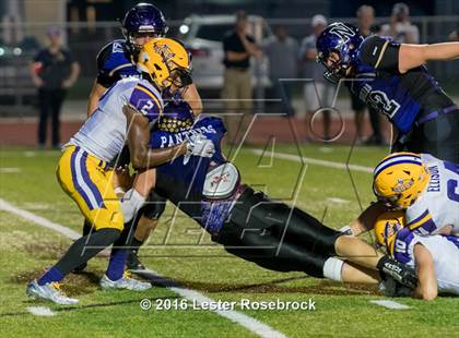 Thumbnail 2 in La Grange @ Navarro photogallery.