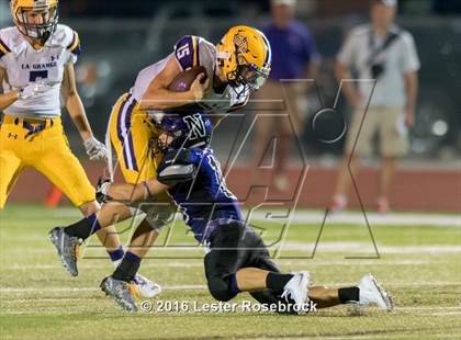 Thumbnail 1 in La Grange @ Navarro photogallery.
