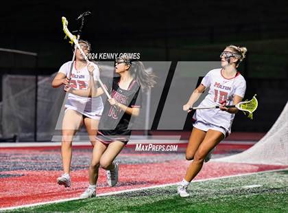 Thumbnail 1 in Lambert vs Milton photogallery.