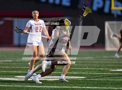Thumbnail 1 in Lambert vs Milton photogallery.