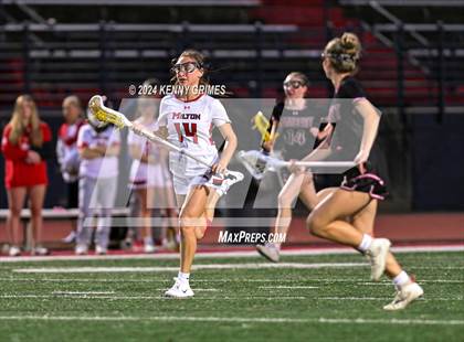 Thumbnail 1 in Lambert vs Milton photogallery.