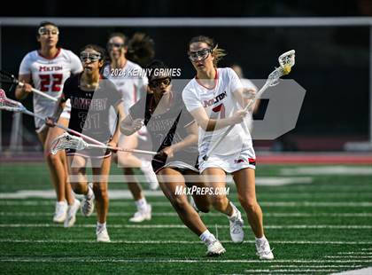 Thumbnail 3 in Lambert vs Milton photogallery.