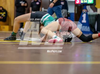 Thumbnail 2 in NIAA All Girls Southern Region Wrestling Qualifier (Prelim Day 2 AM Mat 1) photogallery.