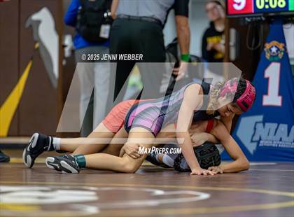 Thumbnail 3 in NIAA All Girls Southern Region Wrestling Qualifier (Prelim Day 2 AM Mat 1) photogallery.