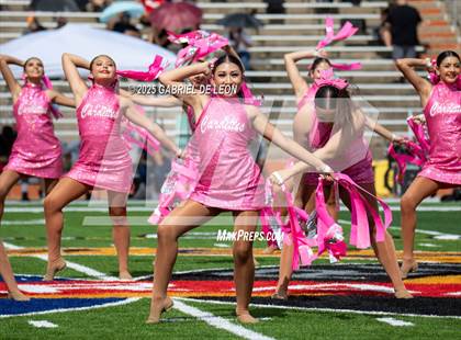 Thumbnail 2 in Harlingen @ Hanna photogallery.