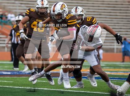 Thumbnail 1 in Harlingen @ Hanna photogallery.