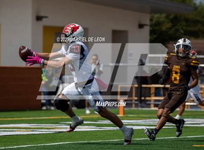 Thumbnail 3 in Harlingen @ Hanna photogallery.