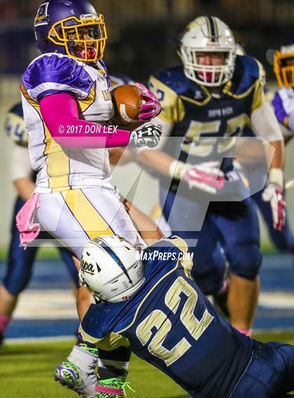 Thumbnail 3 in Armijo @ Napa photogallery.