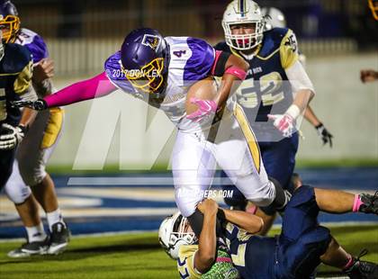 Thumbnail 2 in Armijo @ Napa photogallery.