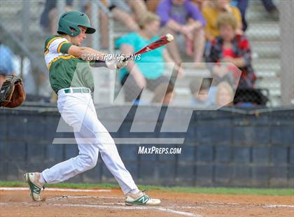 Thumbnail 3 in Captain Shreve @ Airline photogallery.