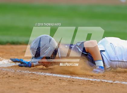 Thumbnail 3 in Captain Shreve @ Airline photogallery.