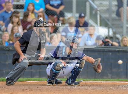 Thumbnail 2 in Captain Shreve @ Airline photogallery.