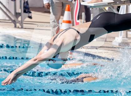 Thumbnail 3 in AIA D2 Swim Finals photogallery.