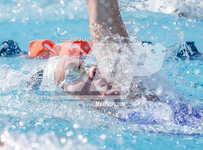 Thumbnail 3 in AIA D2 Swim Finals photogallery.
