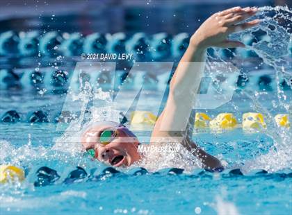 Thumbnail 2 in AIA D2 Swim Finals photogallery.