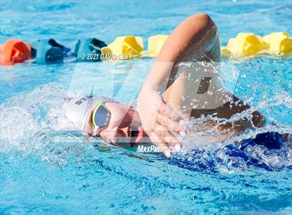 Thumbnail 2 in AIA D2 Swim Finals photogallery.